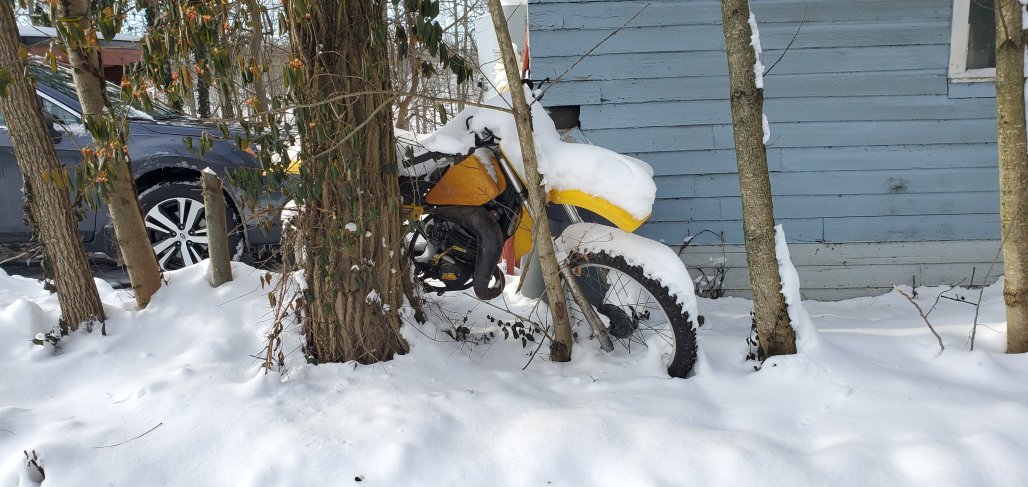 20201227_101333.jpg