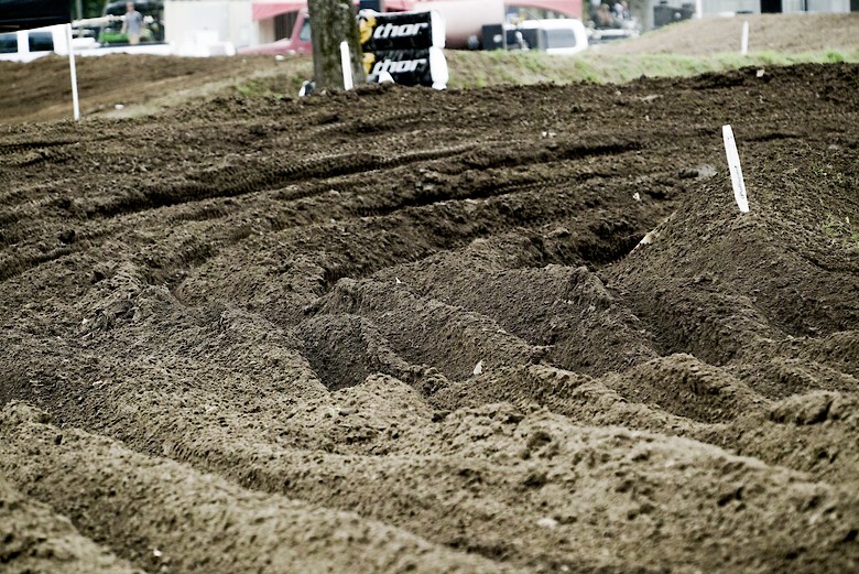 s780_Loretta_3.jpg