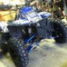 BeastlyWarrior228